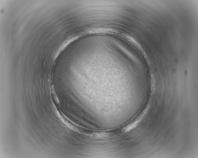 X0000052931041200507221116