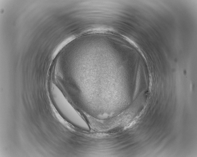 X0000052931042200507221116