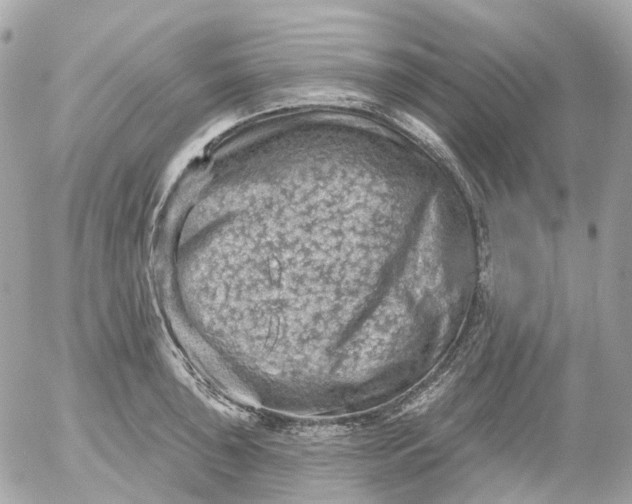 X0000052931043200507221116