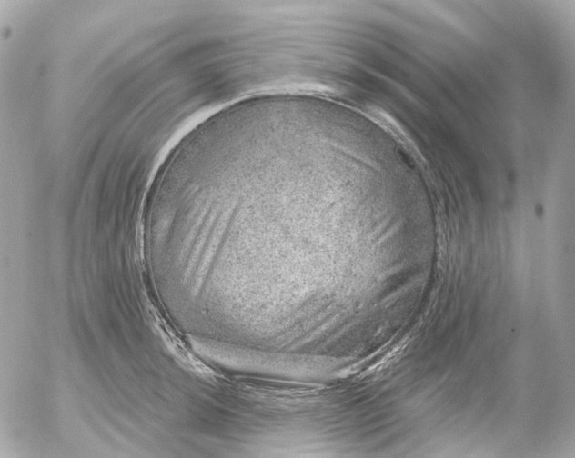 X0000052931044200507221116