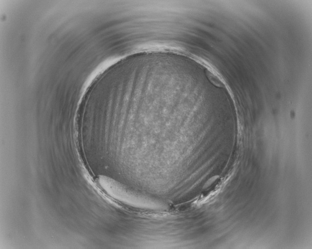 X0000052931045200507221116