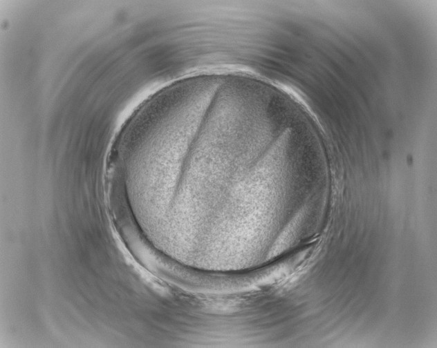 X0000052931046200507221116