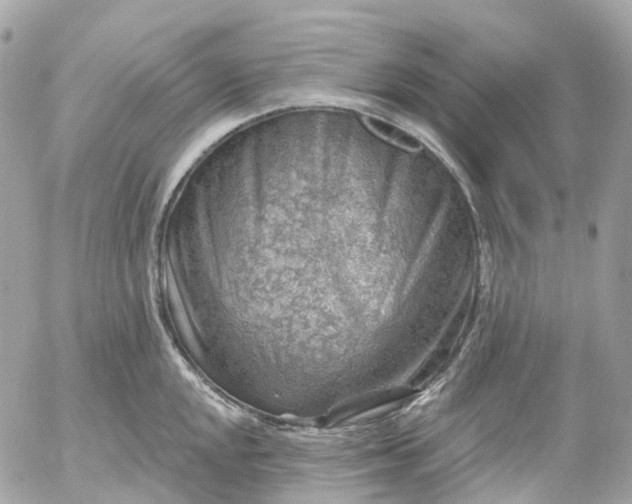 X0000052931048200507221116