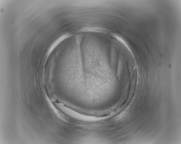 X0000052931050200507221116