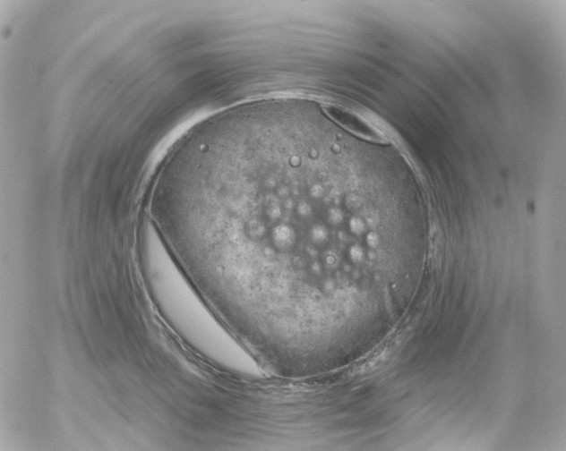 X0000052931051200507221116