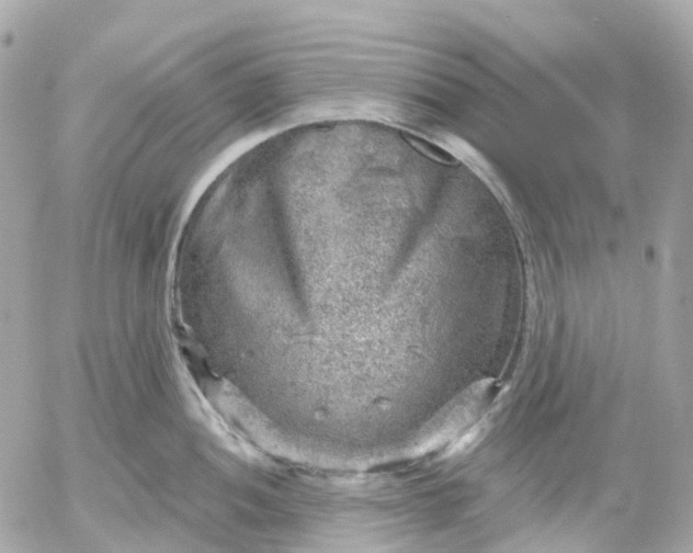 X0000052931052200507221116