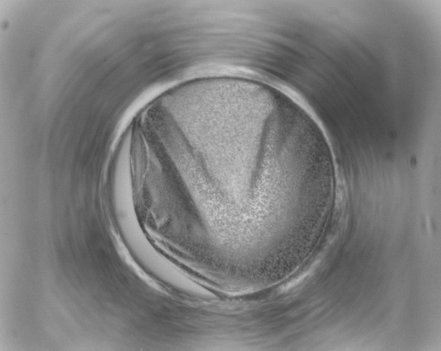 X0000052931053200507221116