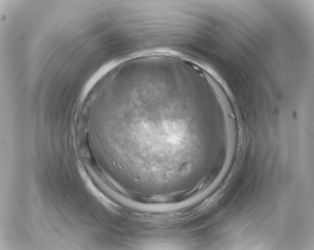 X0000052931054200507221116