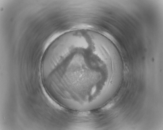 X0000052931055200507221116