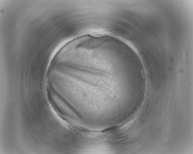 X0000052931056200507221117