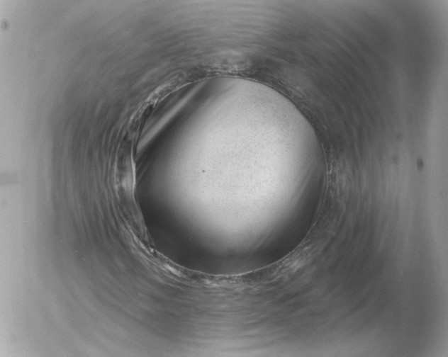 X0000052931058200507221116