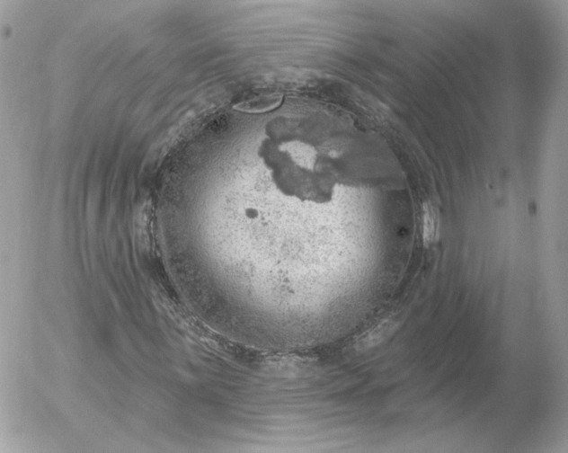 X0000052931059200507221116