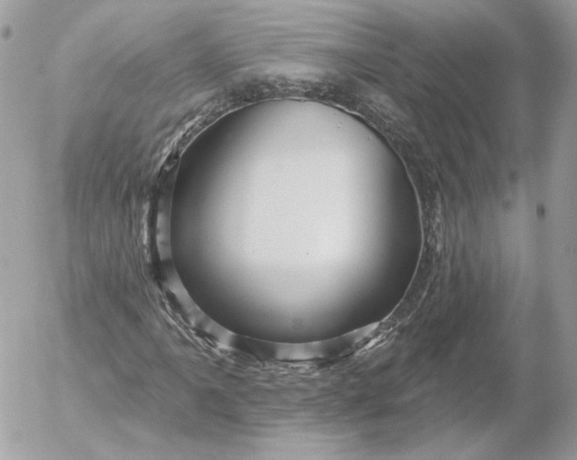 X0000052931061200507221116