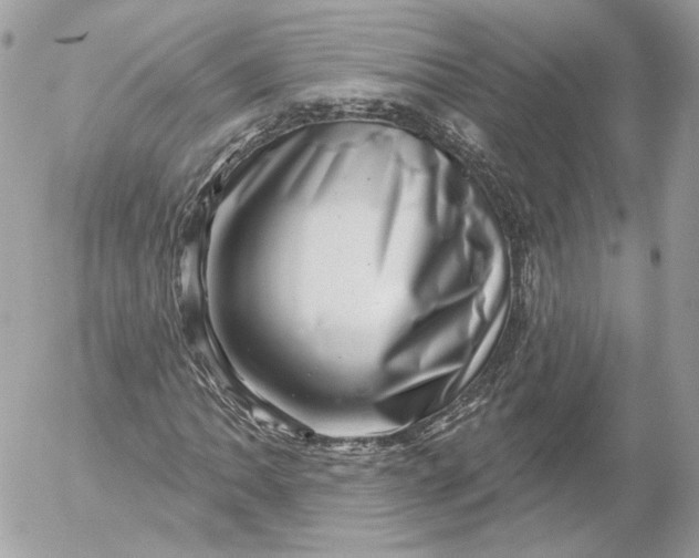 X0000052931062200507221116