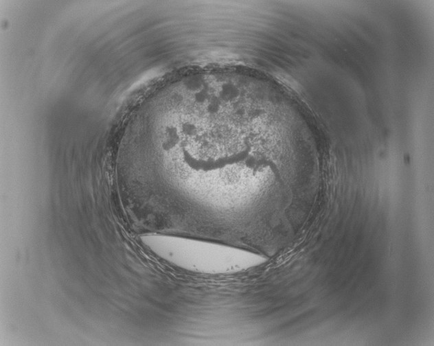 X0000052931063200507221116