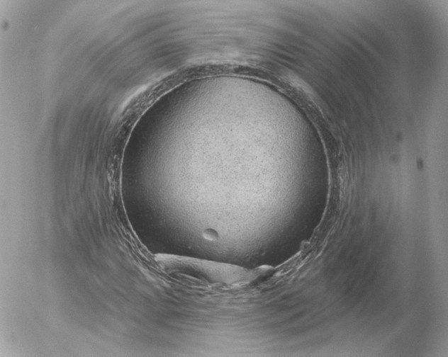 X0000052931064200507221116