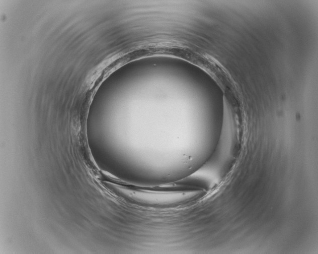 X0000052931065200507221116