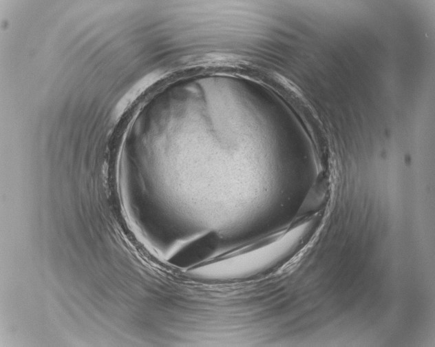 X0000052931066200507221116