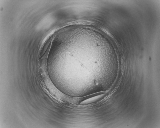 X0000052931067200507221116