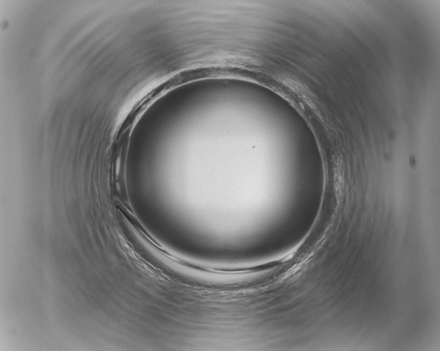 X0000052931069200507221116