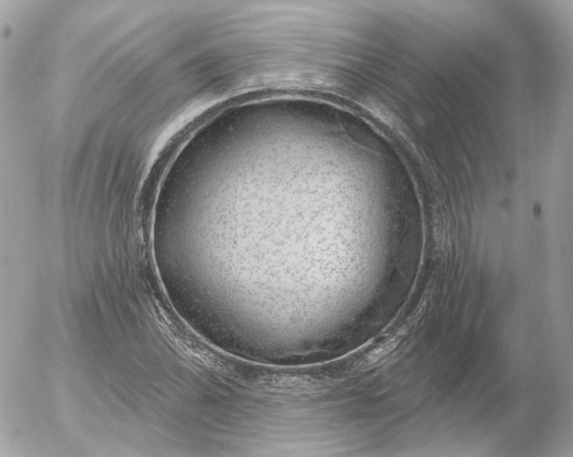 X0000052931070200507221116