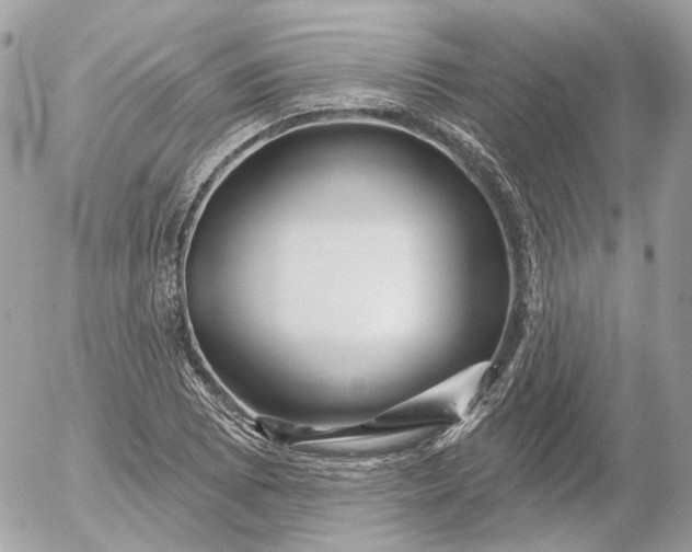 X0000052931073200507221115