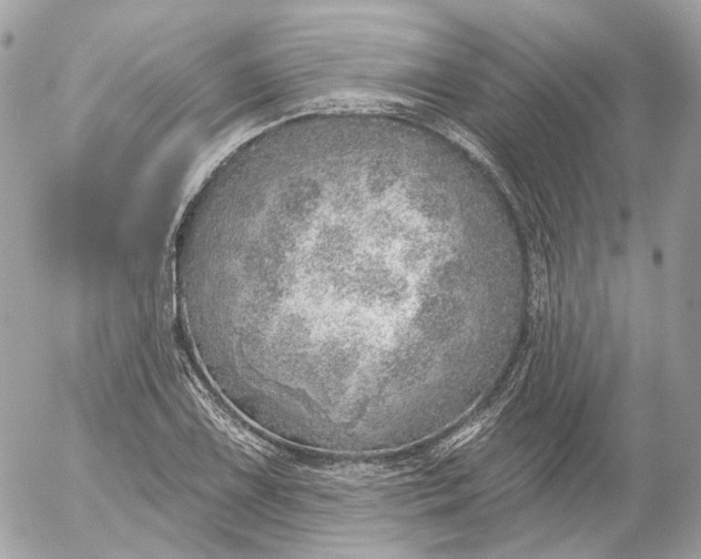 X0000052931075200507221115