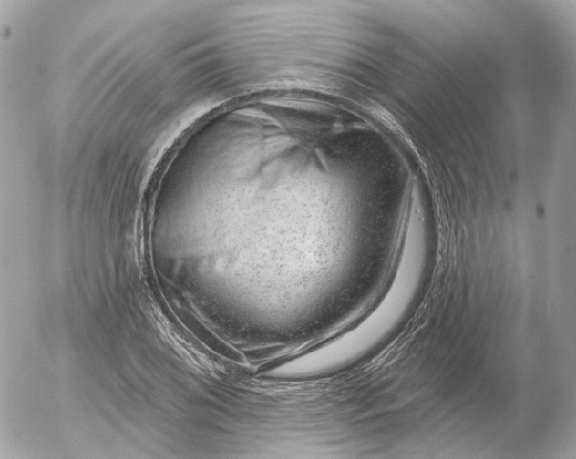 X0000052931076200507221115