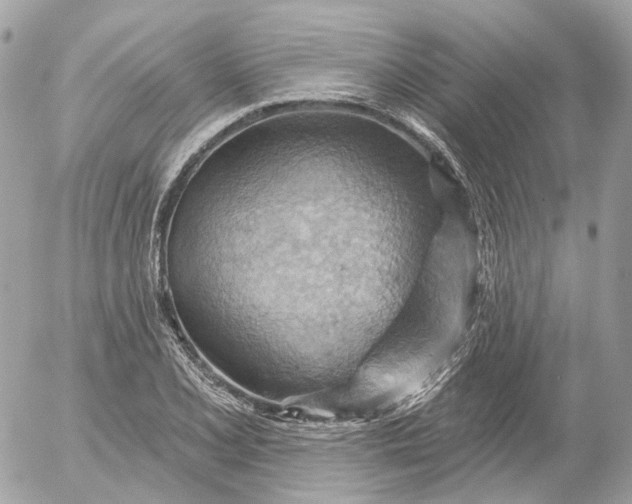 X0000052931077200507221115