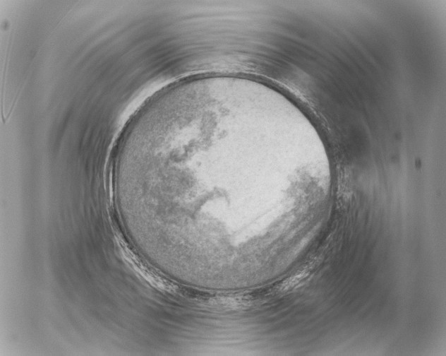 X0000052931078200507221115