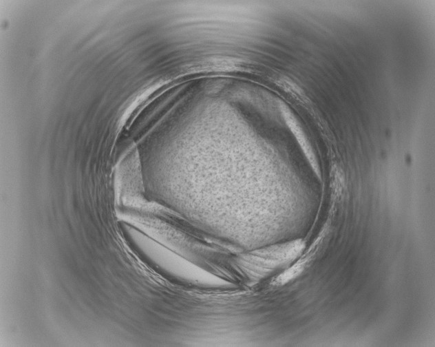 X0000052931081200507221115