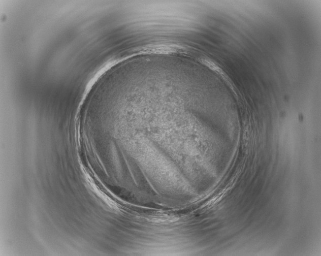 X0000052931083200507221115