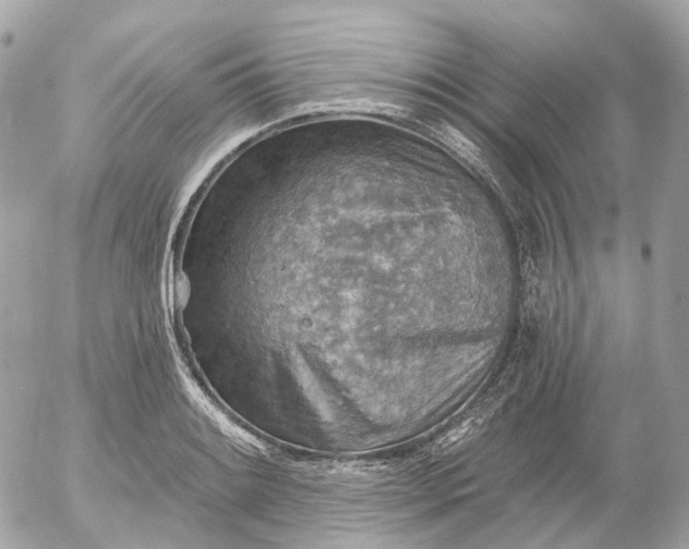 X0000052931084200507221115