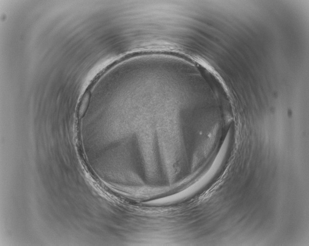 X0000052931085200507221115