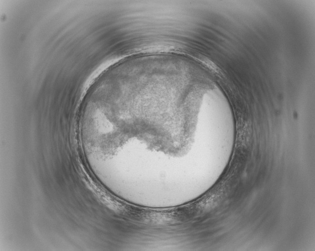 X0000052931086200507221115