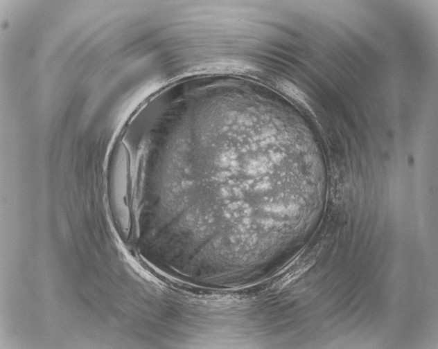 X0000052931087200507221115