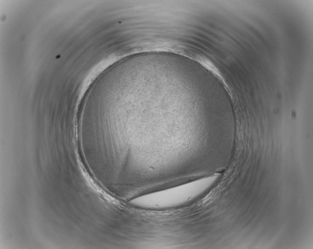 X0000052931088200507221115