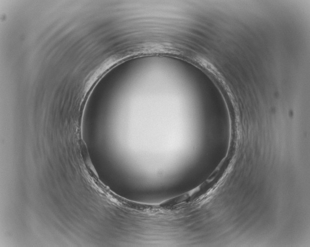 X0000052931089200507221115