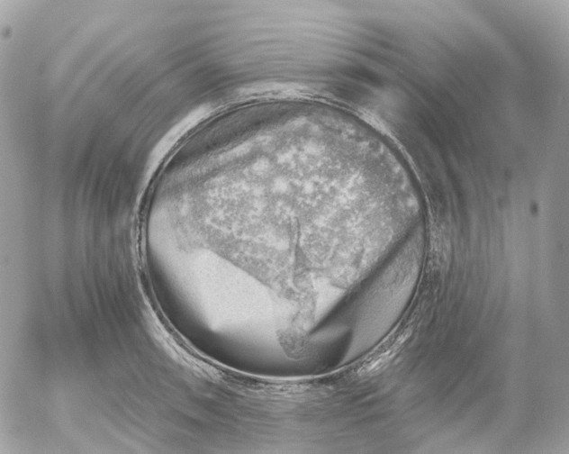 X0000052931090200507221115