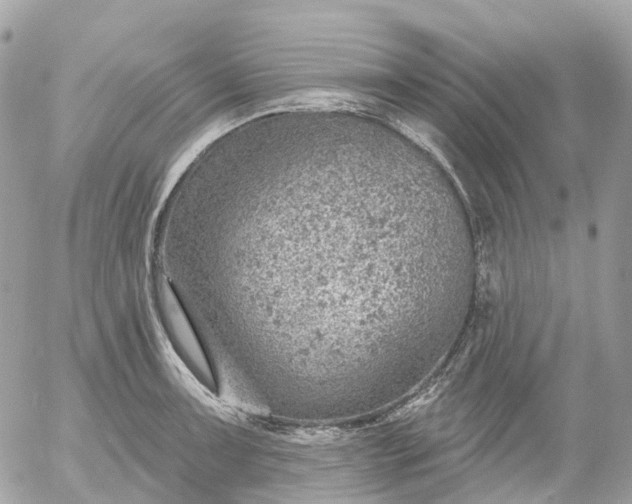 X0000052931091200507221115