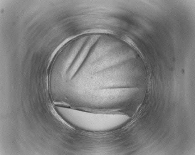 X0000052931092200507221115