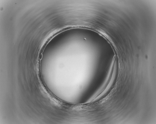 X0000052931093200507221115