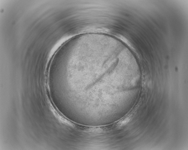 X0000052931094200507221115