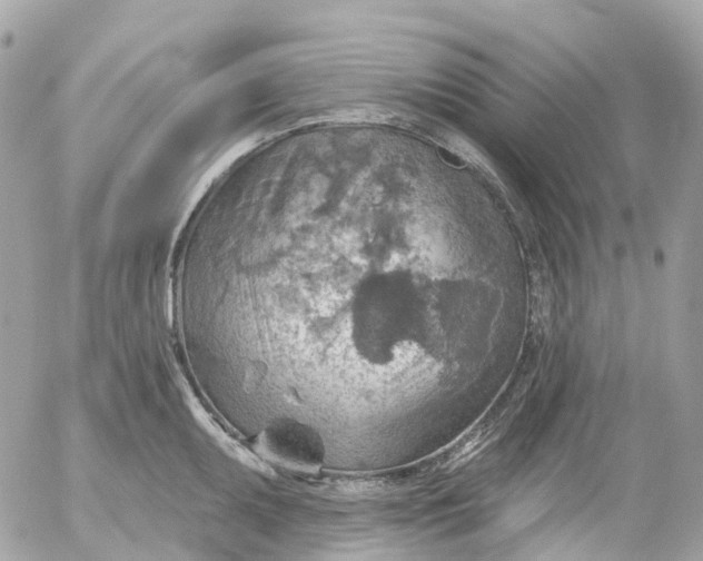 X0000052931095200507221115