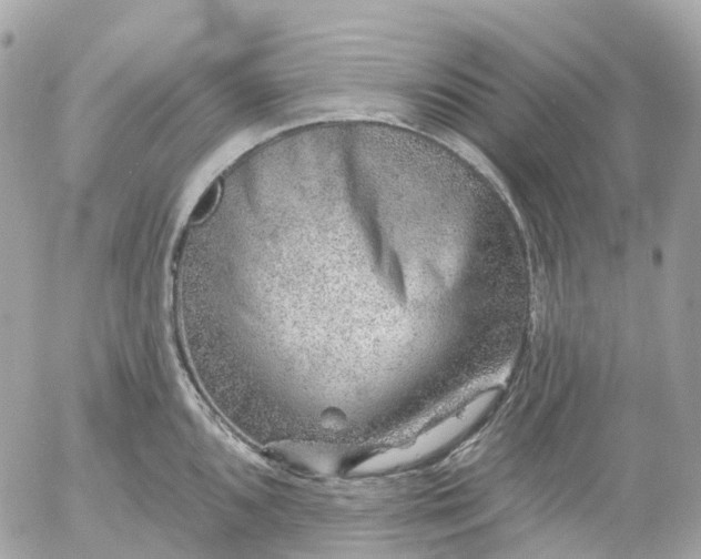 X0000052931096200507221115