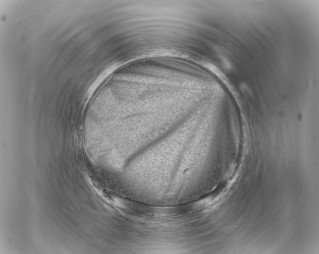 X0000052931097200507221115