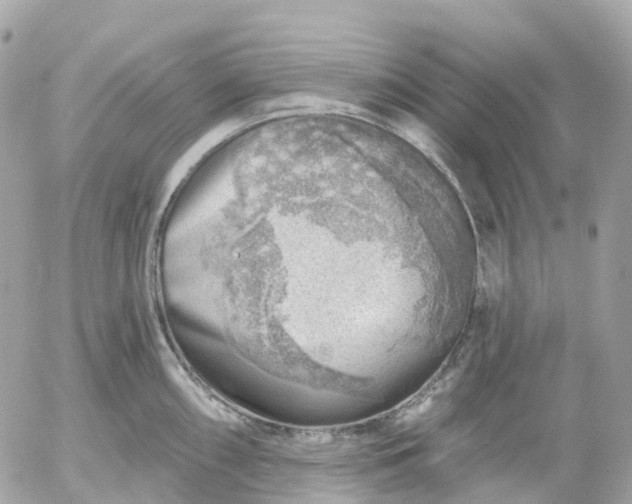 X0000052931098200507221115