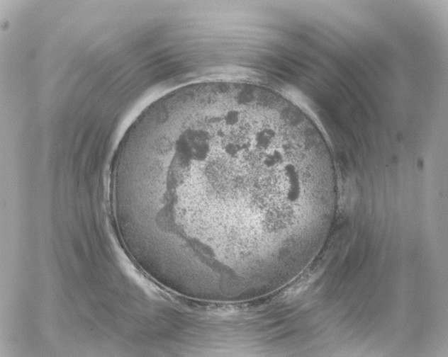 X0000052931099200507221115