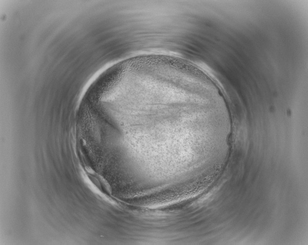 X0000052931100200507221115