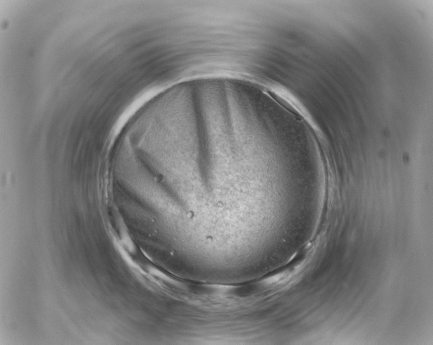 X0000052931101200507221115